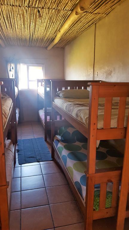 Albergue The Wild Farm Backpackers Wildernis Exterior foto