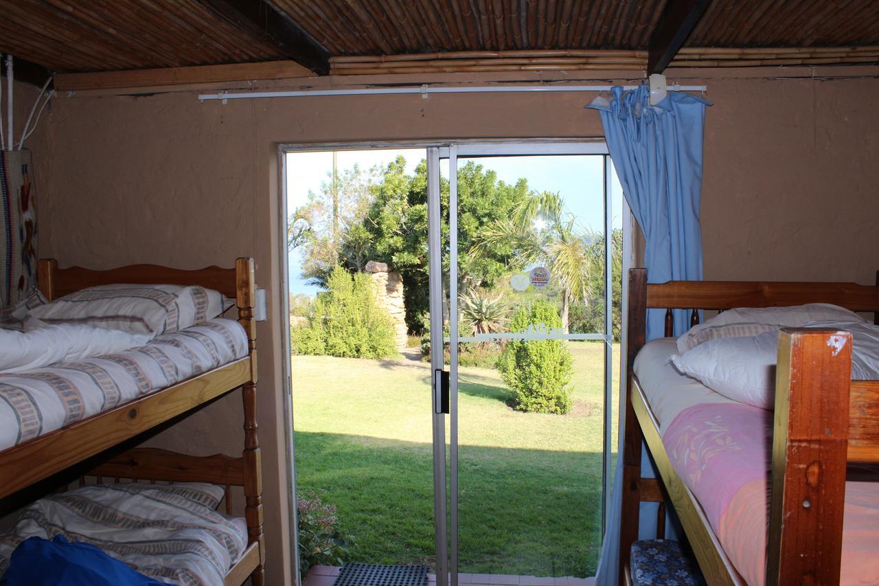 Albergue The Wild Farm Backpackers Wildernis Exterior foto