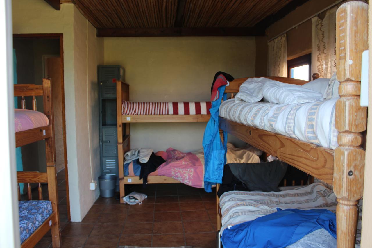 Albergue The Wild Farm Backpackers Wildernis Exterior foto